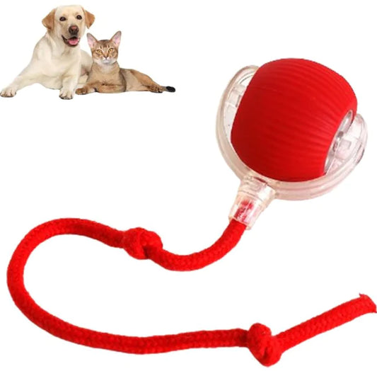 スマート自動回転ペットボール    Smart Rolling Pet Ball